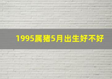 1995属猪5月出生好不好