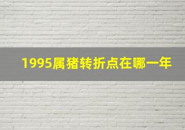 1995属猪转折点在哪一年