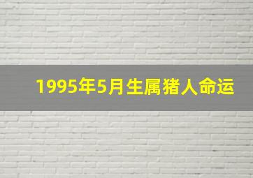 1995年5月生属猪人命运