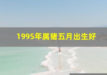 1995年属猪五月出生好