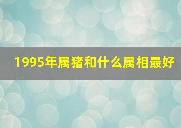 1995年属猪和什么属相最好