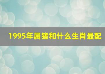 1995年属猪和什么生肖最配