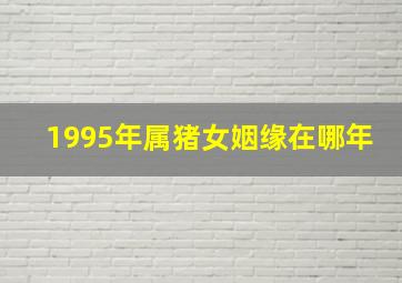 1995年属猪女姻缘在哪年