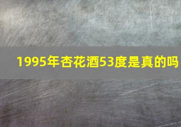 1995年杏花酒53度是真的吗