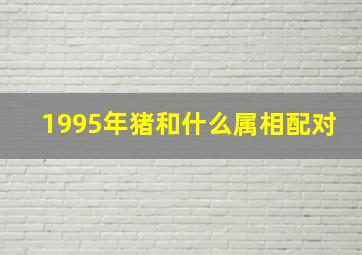 1995年猪和什么属相配对