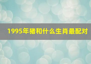 1995年猪和什么生肖最配对