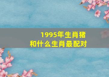 1995年生肖猪和什么生肖最配对