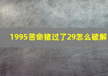 1995苦命猪过了29怎么破解