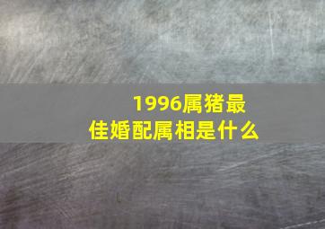 1996属猪最佳婚配属相是什么