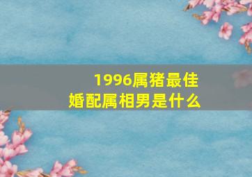 1996属猪最佳婚配属相男是什么