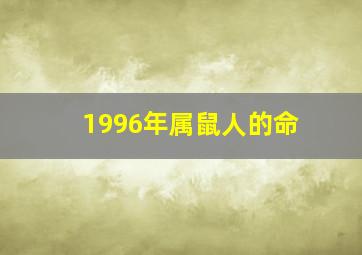 1996年属鼠人的命