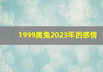 1999属兔2023年的感情