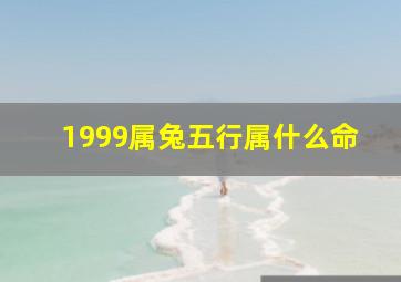 1999属兔五行属什么命