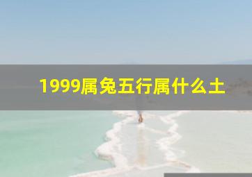 1999属兔五行属什么土