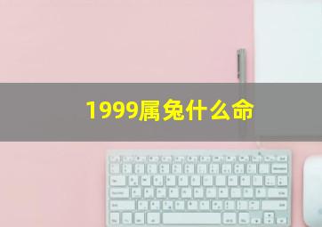 1999属兔什么命