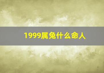 1999属兔什么命人