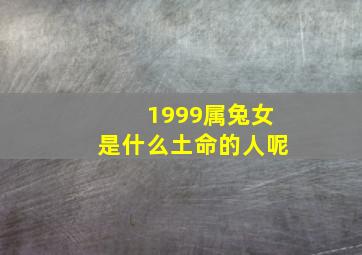 1999属兔女是什么土命的人呢