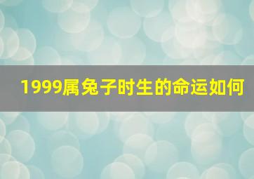 1999属兔子时生的命运如何