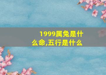 1999属兔是什么命,五行是什么