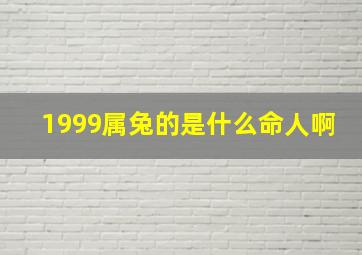 1999属兔的是什么命人啊