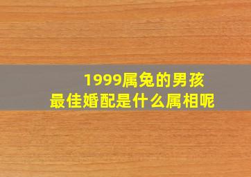 1999属兔的男孩最佳婚配是什么属相呢