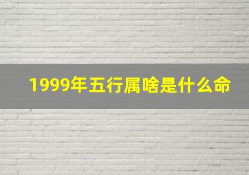 1999年五行属啥是什么命