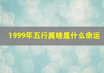 1999年五行属啥是什么命运