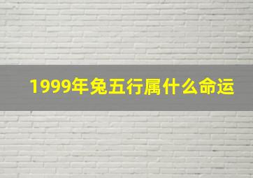 1999年兔五行属什么命运