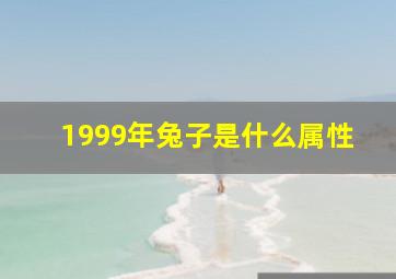 1999年兔子是什么属性