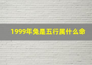 1999年兔是五行属什么命