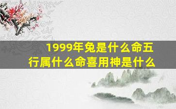 1999年兔是什么命五行属什么命喜用神是什么