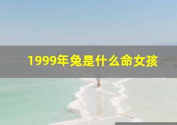 1999年兔是什么命女孩