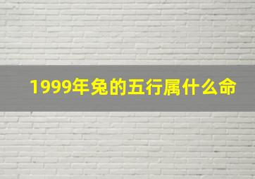 1999年兔的五行属什么命