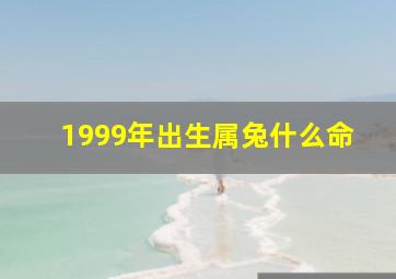 1999年出生属兔什么命