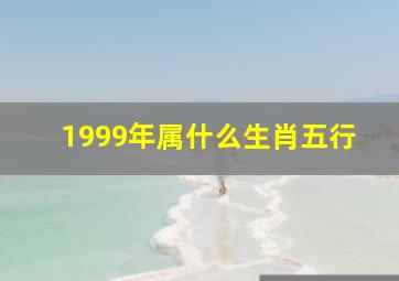 1999年属什么生肖五行