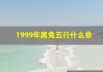 1999年属兔五行什么命