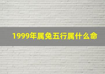 1999年属兔五行属什么命