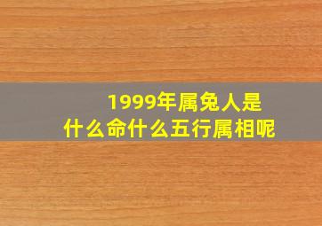 1999年属兔人是什么命什么五行属相呢