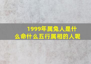 1999年属兔人是什么命什么五行属相的人呢