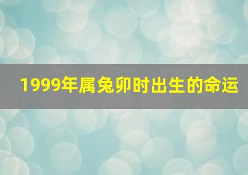 1999年属兔卯时出生的命运