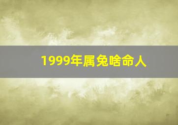 1999年属兔啥命人