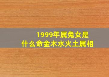 1999年属兔女是什么命金木水火土属相