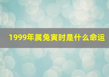 1999年属兔寅时是什么命运