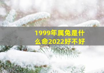 1999年属兔是什么命2022好不好