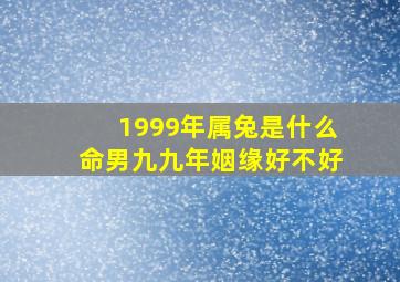 1999年属兔是什么命男九九年姻缘好不好