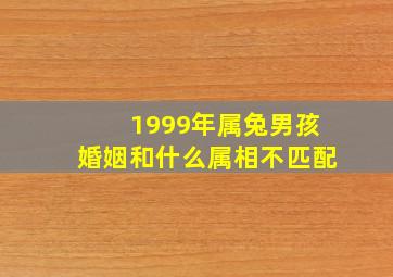 1999年属兔男孩婚姻和什么属相不匹配