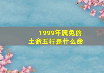 1999年属兔的土命五行是什么命