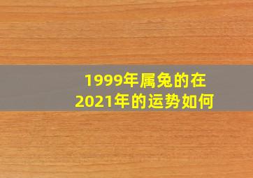 1999年属兔的在2021年的运势如何