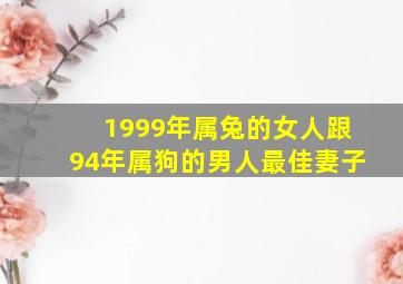 1999年属兔的女人跟94年属狗的男人最佳妻子