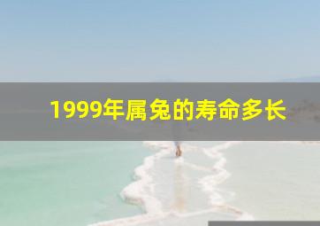 1999年属兔的寿命多长